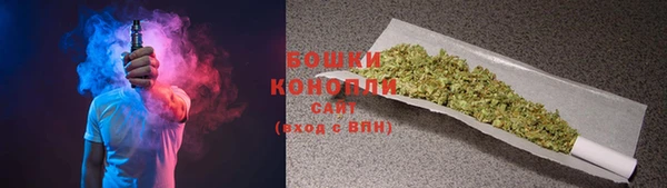 СК Богородск