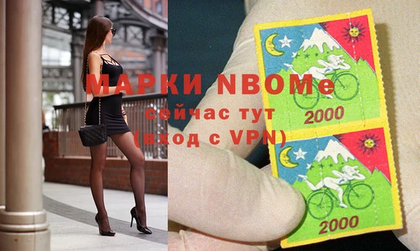 МДПВ Бородино