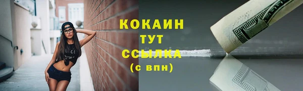 СК Богородск