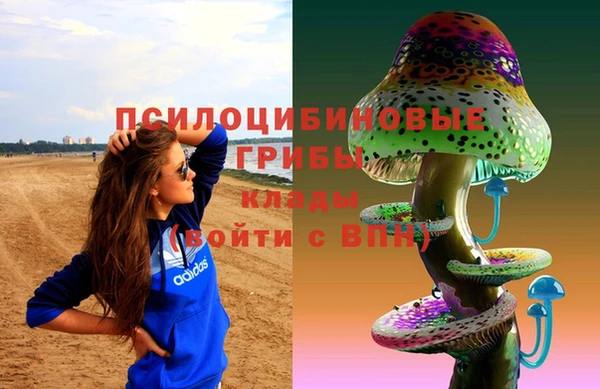 индика Бугульма