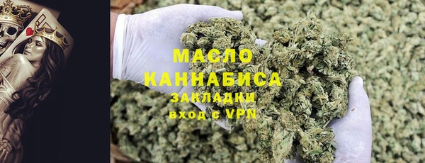 индика Бугульма
