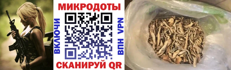 Псилоцибиновые грибы Psilocybine cubensis  Белёв 